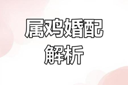 1993年出生的属鸡人婚配属相选择指南与建议