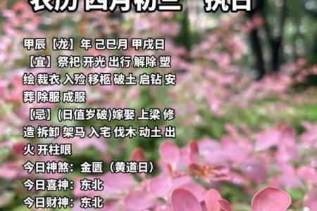 2011年农历阳历对照表带节气节假日，零氪玩家必备