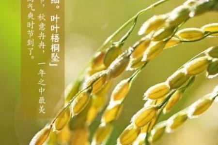 2020年处暑节气具体是哪一天几点几分开始？