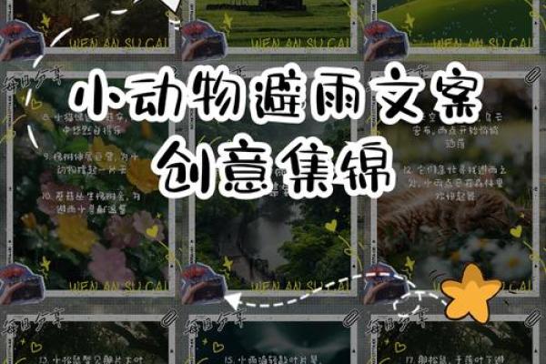 遮风挡雨打一个动物 遮风挡雨动物谜语答案