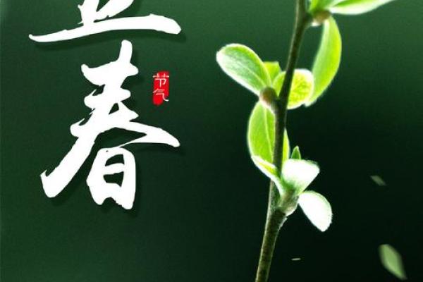 2021年立春的准确时刻是什么时候，需要精确到分钟？