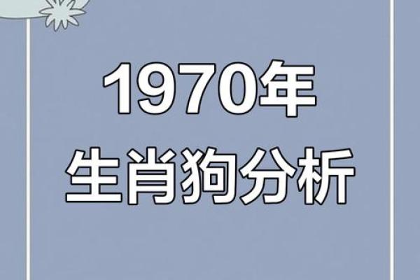 2006年属狗的男孩一生学业和事业运势详解