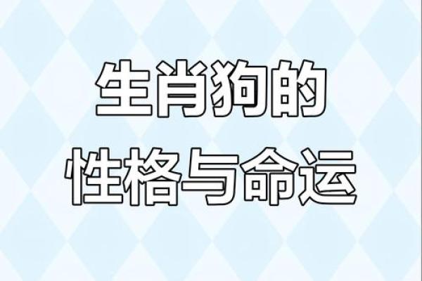 2006年属狗的男孩一生学业和事业运势详解