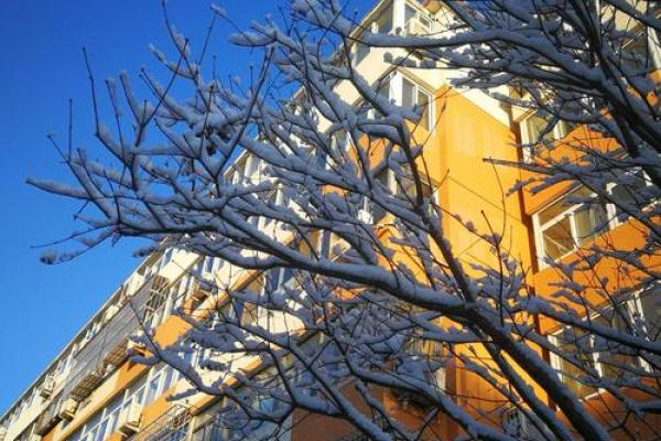 阳春白雪是什么生肖？ 阳春白雪对应生肖查询