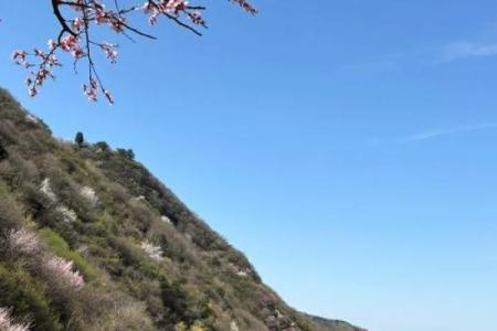 阳春三月好景色”打一最佳准确生肖 阳春三月打一生肖最佳答案