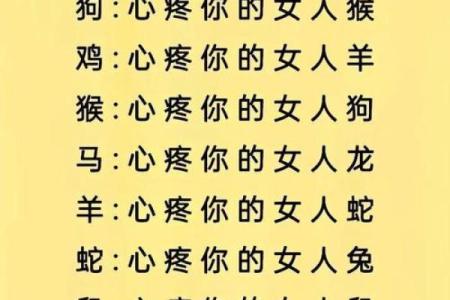 遥遥相对”是什么生肖 遥遥相对打一生肖答案