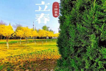 2020年立春具体是几点几分开始？想精确庆祝