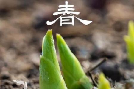 想知道2022年立春的精确时间点以及今天是否打春的具体时辰