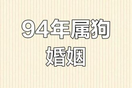 1994年属狗女性2025年运势详解及每月运程完整版