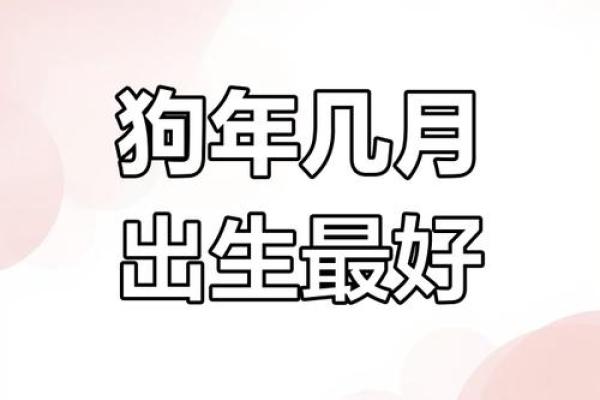 属狗的出生年份有哪些？详细年份表及当前年龄计算