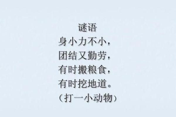 身份不明打一准确动物 谜语身份不明打一动物答案