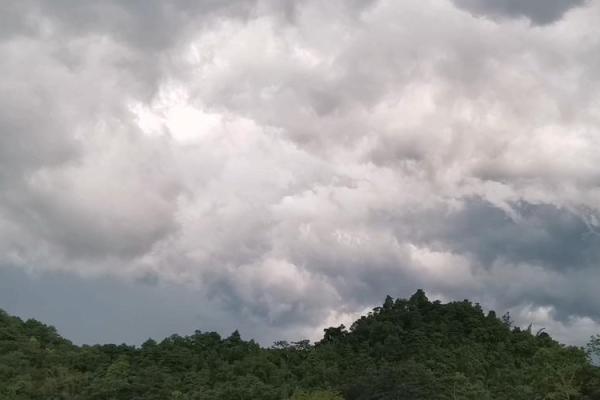 雷大雨小是什么生肖 生肖雷大雨小代表什么动物