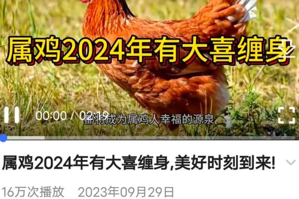 1981年出生的属鸡者2026年财运和事业运势如何,需要注意什么 1981年出生的属鸡者2026年财运和事业运势如何,需要注意什么