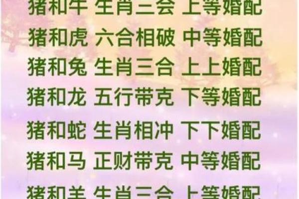 2014年十二生肖运势详解，看看你的属相今年财运健康如何