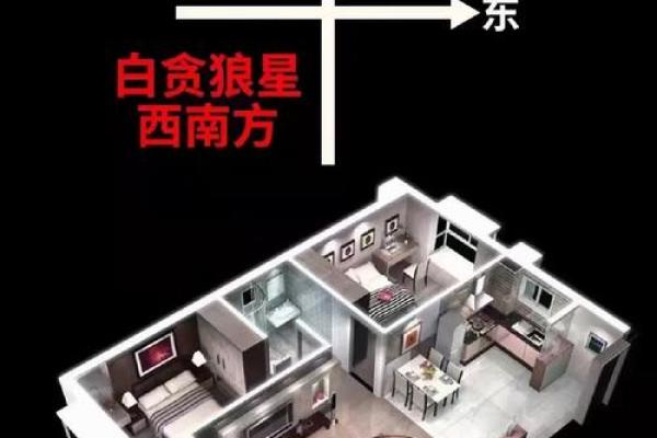 属兔人在2024年龙年的贵人方位在哪里？如何通过风水布局吸引贵人相助？