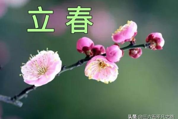 2021年立春具体时间是几点几分开始？