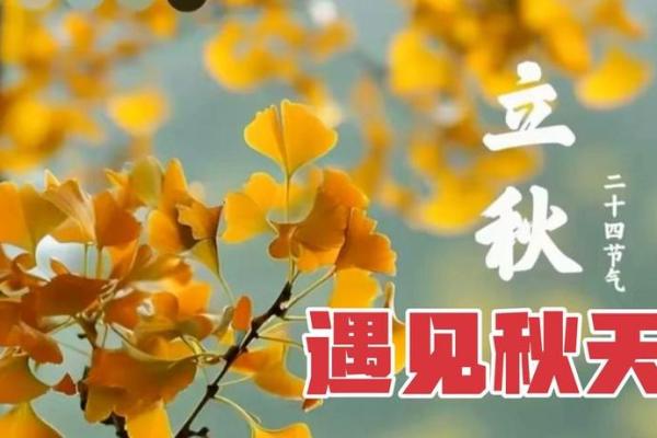 2020年立秋具体时间是几点几分？需要精确时刻安排日程
