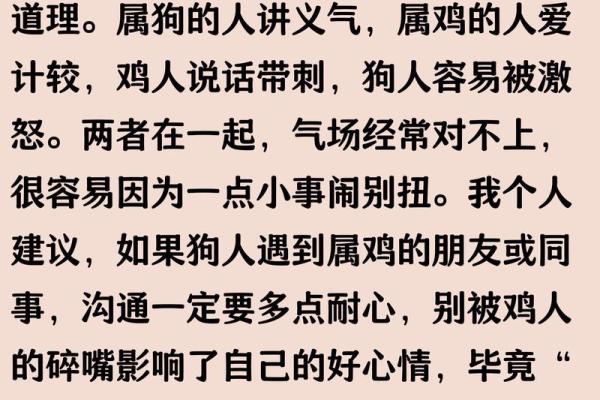 鸡犬相邻指的是什么生肖 鸡犬相邻打一生肖答案