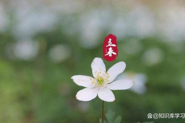 2021年打春具体时间几点几分几秒，要精确到秒