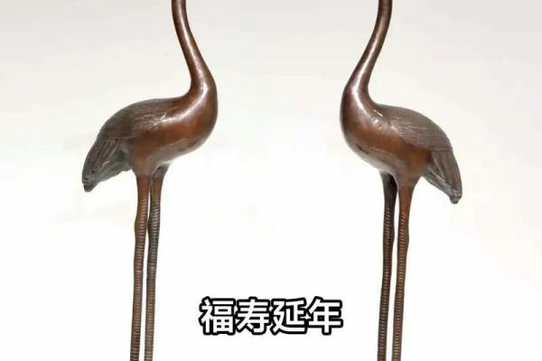 龟鹤之年猜一个动物 龟鹤之年象征哪种动物