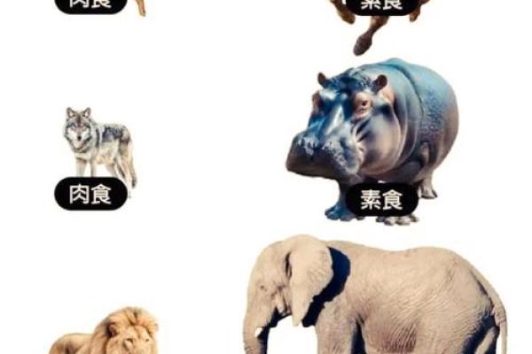铜筋铁骨打一动物 铜筋铁骨形容什么动物