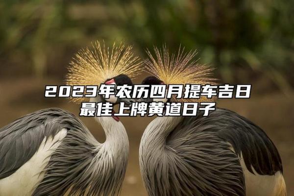 11月份提车黄道吉日查询，哪些日期最适合新车交付上牌？