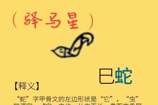 韶光似箭”打一准确生肖 生肖谜语韶光似箭指什么动物