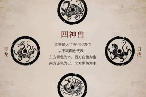 风水宝地”打一个生肖动物 生肖风水宝地宜忌解析