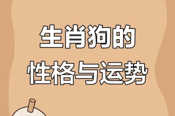 1982年出生的属狗朋友，哪个月份命运比较坎坷多磨？