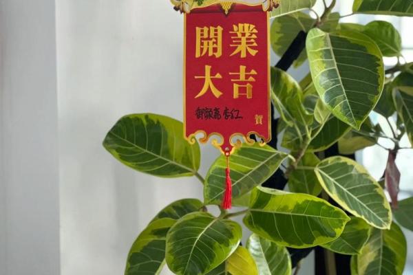 想了解2026年12月开业的良辰吉日如何选择以及有哪些重要禁忌? 想了解2026年12月开业的良辰吉日如何选择以及有哪些重要禁忌?