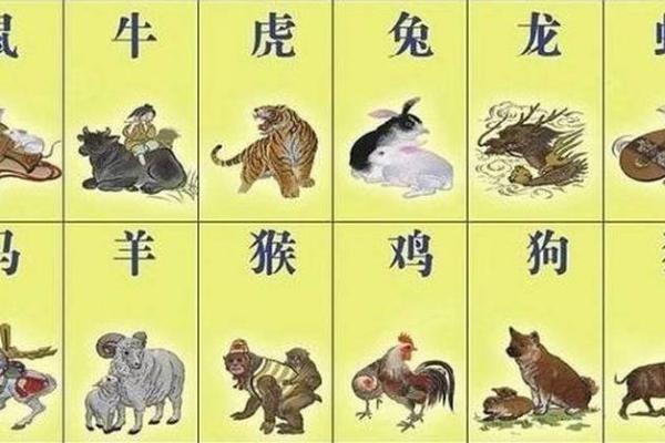 长寿万年是什么生肖 万年长寿对应的生肖是哪个