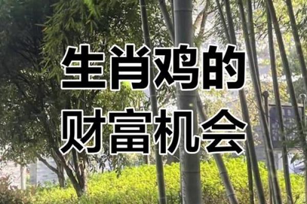 2025年属鸡人的财运和事业运详解,哪些月份会有好机会 2025年属鸡人的财运和事业运详解,哪些月份会有好机会