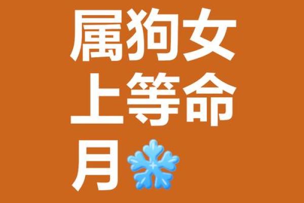 1970年属狗的人五行属金还是属土，命理如何解析？