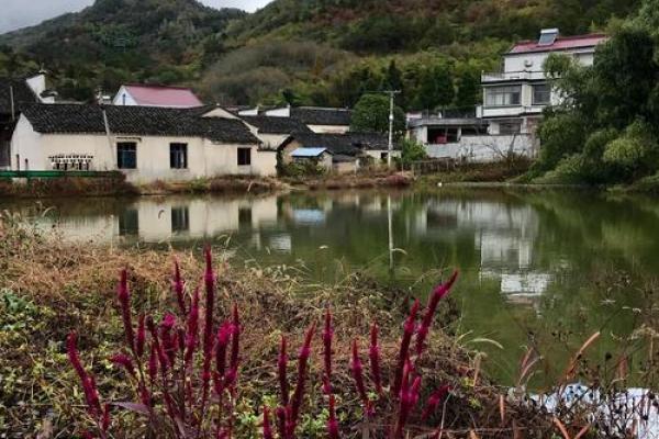 错落有致”是什么生肖 生肖错落有致寓意解析