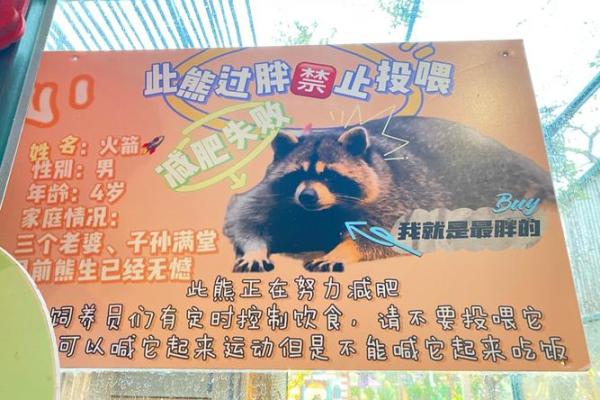 逗留不进”指什么生肖 逗留不进打一生肖答案