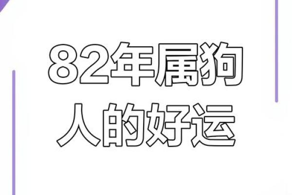 1982年属狗的人几月份出生运势较差需注意？