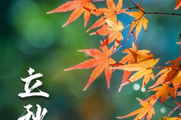 2018年立秋节气是哪一天？需要查询农历和公历对照信息