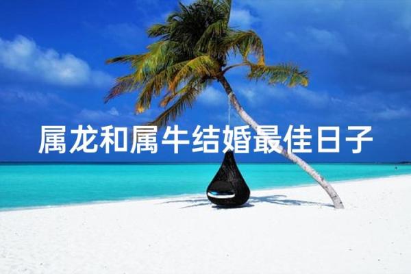 97年属牛结婚吉日(97年属牛2025年结婚好吗)