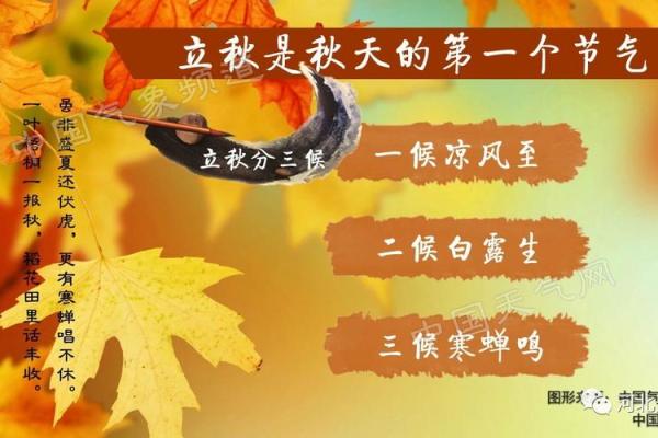 2019年立秋具体时间是几点几分？想准时迎接秋天到来