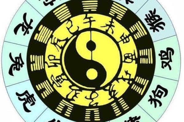 骑者善坠打一正确生肖 骑者善坠指什么生肖