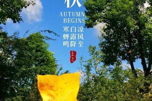 2020年立秋节气是上午还是下午？想安排当天活动