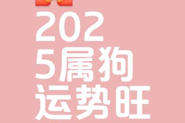 2025年属狗人幸运色是什么颜色能带来好运和财运