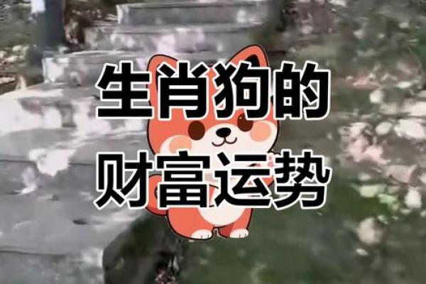 1970年属狗的人今天打麻将财运如何有没有好运