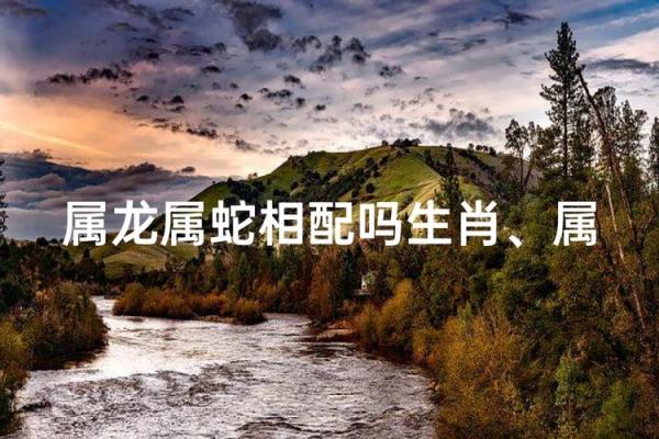 2013年1月出生生肖属龙还是属蛇，具体分界线日期在哪天？