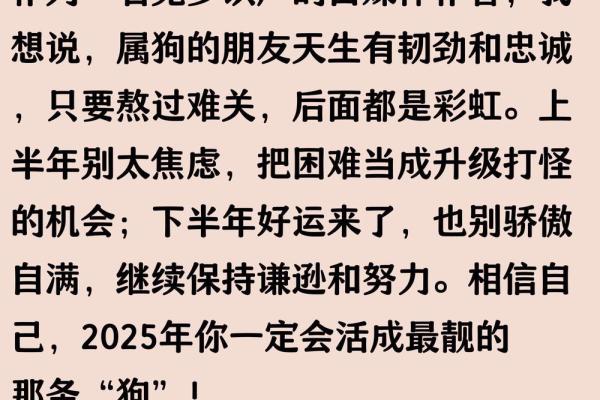 1946年属狗的人2025年运势详解及每月运程预测