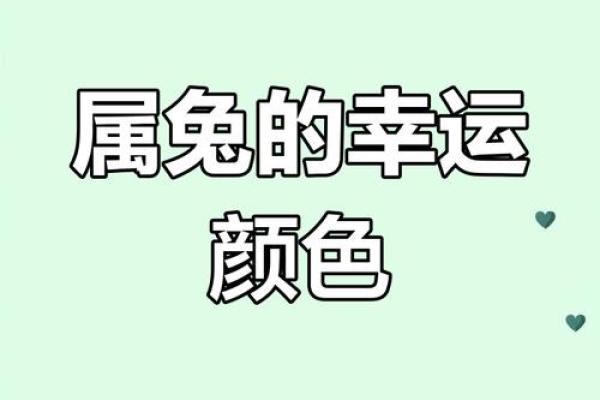 面目一新是什么生肖 2024年运势焕然一新的属相