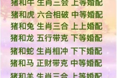 2014年十二生肖运势详解，看看你的属相今年财运健康如何