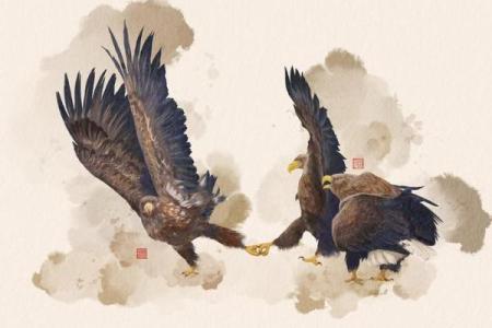 飞禽走兽是什么生肖 飞禽走兽对应生肖查询