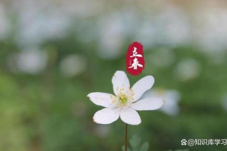 2021年打春具体时间几点几分几秒，要精确到秒