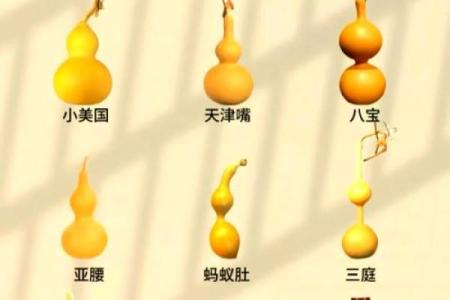 闷嘴葫芦打一动物 闷嘴葫芦指什么生肖动物